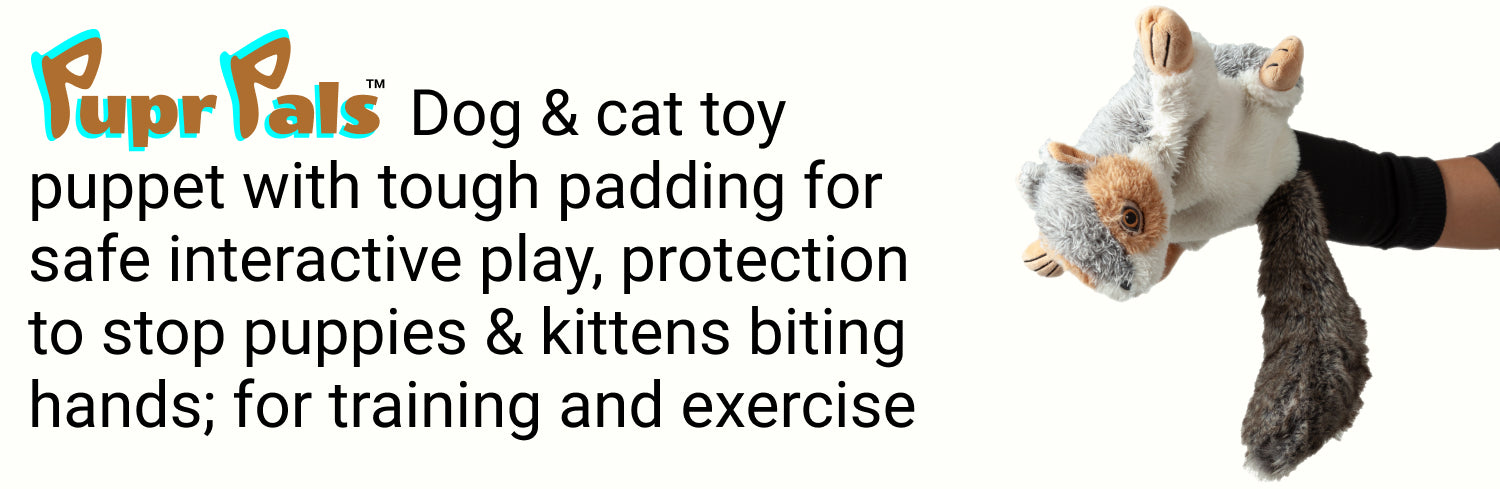 Milunova Pupr Pals - Interactive cat and dog wrestling toy squirrel hand puppet with padding for playtime protection
