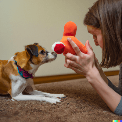 Safely Play With Your Dog Using a Hand Puppet Toy: Debunking the Concerns of Teaching Bad Habits