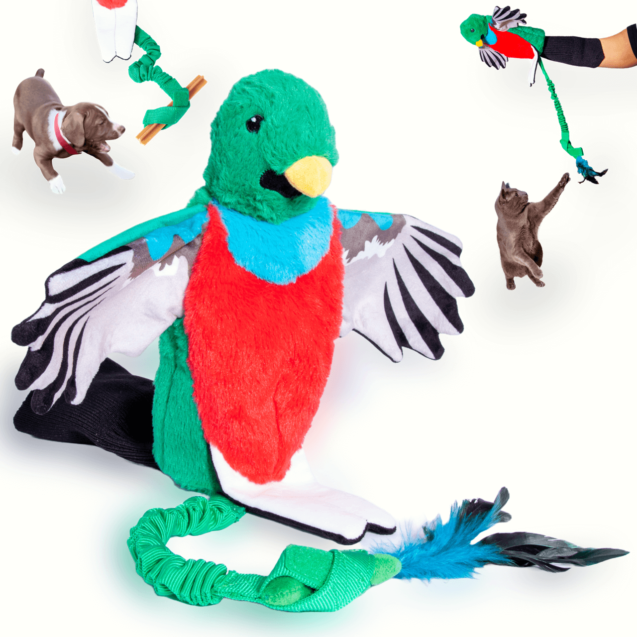 Quetzal