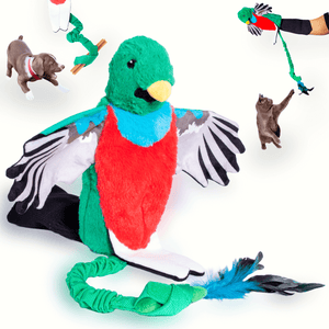 Quetzal