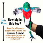 Load image into Gallery viewer, Quetzal
