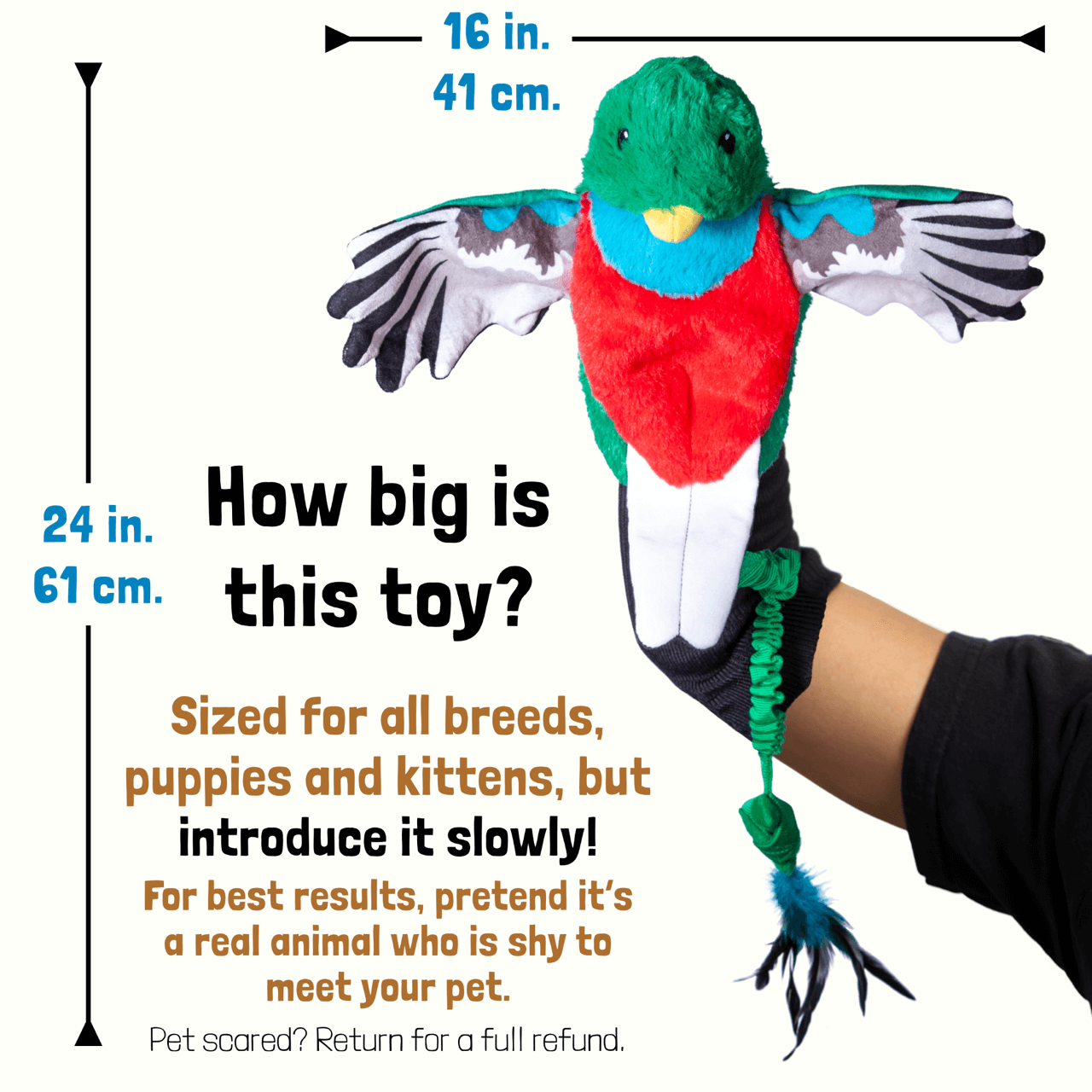 Quetzal