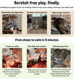 Load image into Gallery viewer, Nutjob + Catnip
