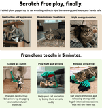 Load image into Gallery viewer, Quetzal + Catnip
