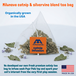 Load image into Gallery viewer, Nutjob + Catnip
