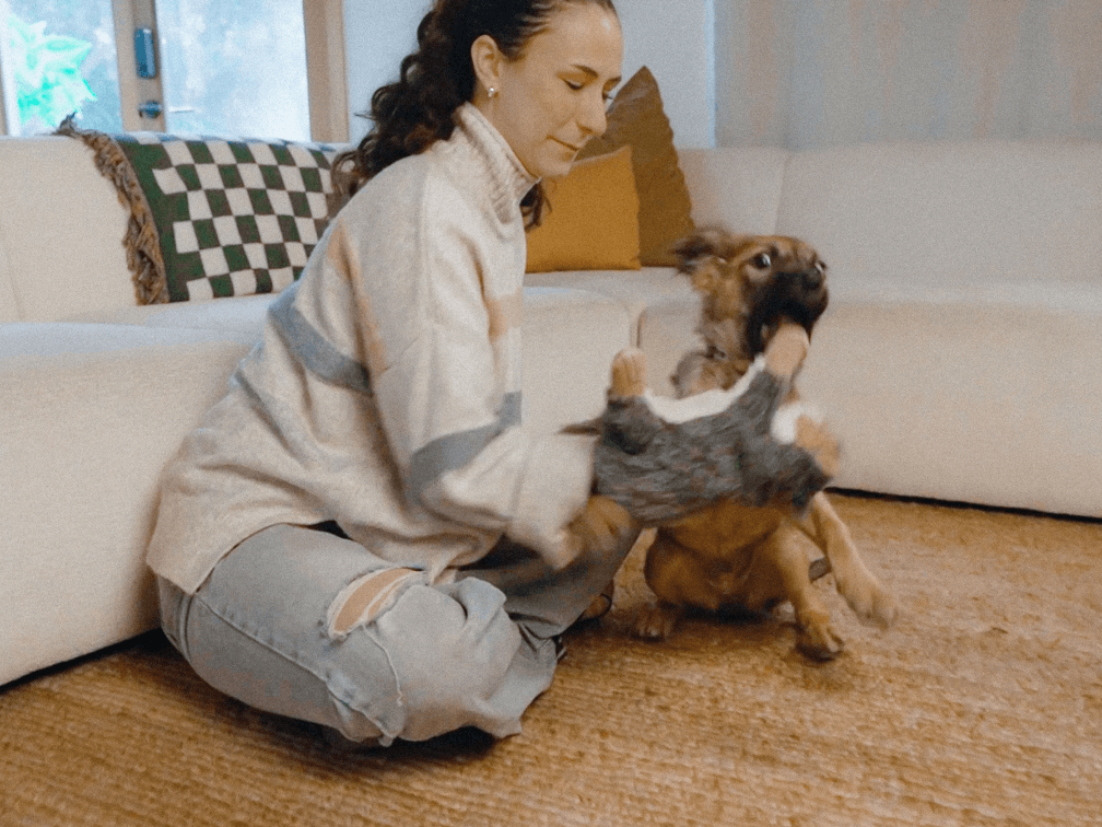 Pupr Pals flip puppy biting into playful bonding.