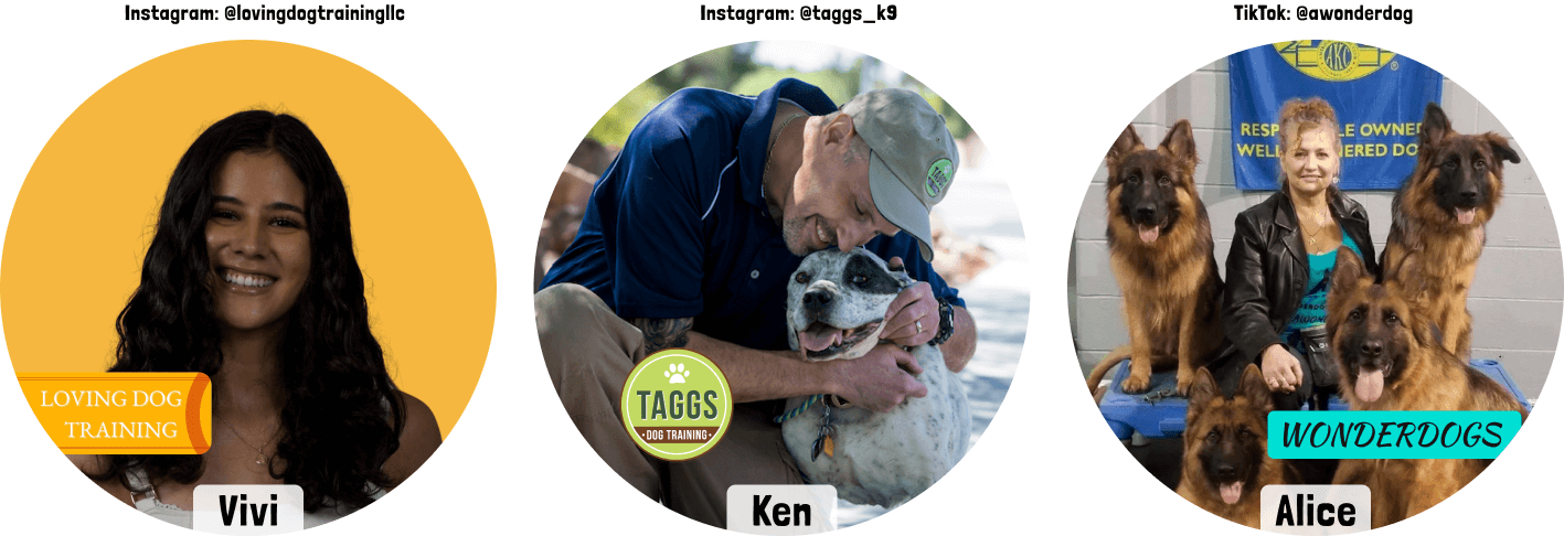 TThree circular profile pictures with people and dogs, featuring 'Vivi', 'Ken', and 'Alice' with their respective dog training brands. Trusted sources of trainers for Pupr Pals toys.