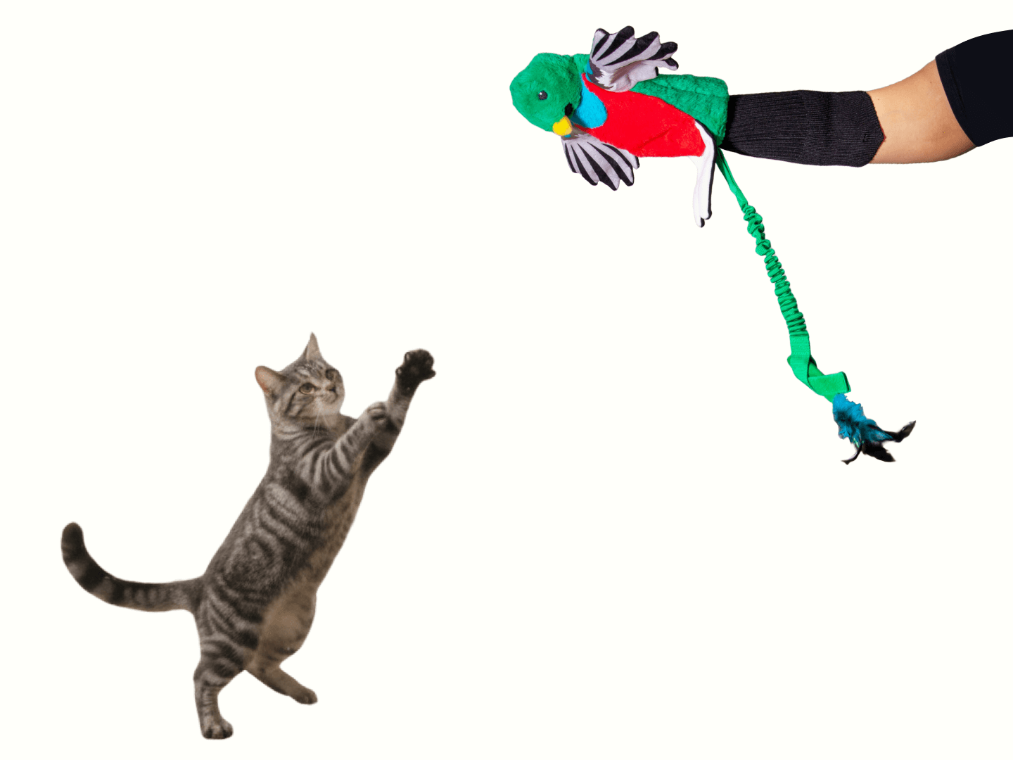 Pupr Pals flip bunny kicks and scratches into playful bonding.