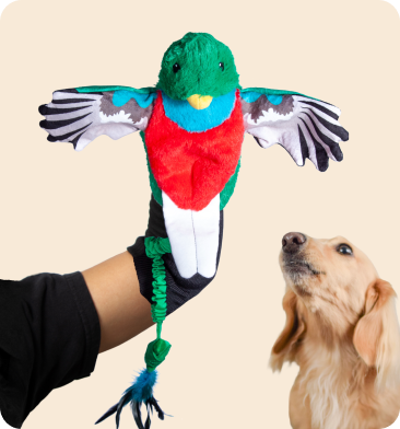 Quetzal — bird hand-puppet dog toy for play fighting and wrestling
