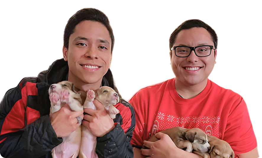Saul and Erik, the founders of Milunova, holding their foster puppies